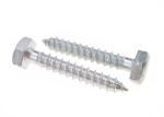 A2 Stainless Steel Hex Head Screws for Coach Self Tapping Fastener