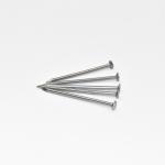 2'' Smooth Shank Flat Head Galvanized Steel Nail Galvanized Concrete Nails