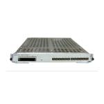 CR5D00E2ND70 03057484 LPUI-240 2x10GBase-QSFP28