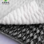 CE/ISO Approved HDPE Composite Drainage Geonet 3D Network Geomat for Drainage