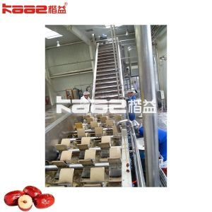 Wholesale Commercial Dates Production Line Automatic Dates Processing Machine from china suppliers