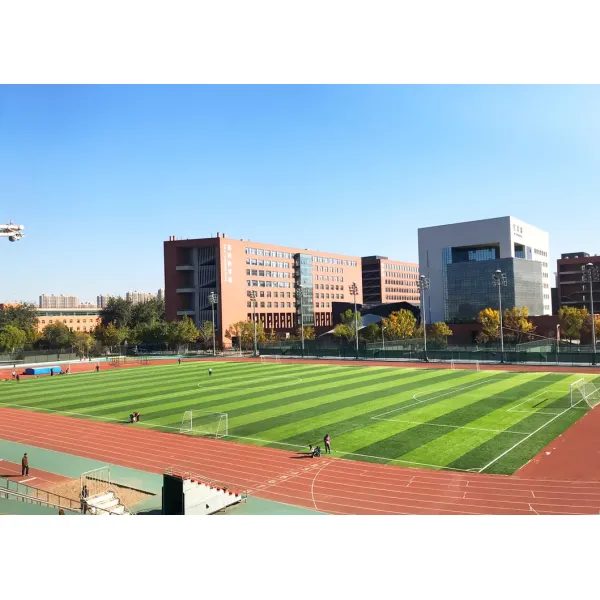 SBR Recycled Rubber Granules 0.5-4mm for Artificial Turf Infill