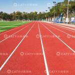Wear-Resistant Yuzz Prefabricated Running Track For School Playground Floor