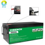 Visench Direct factory 12V 24V 100Ah 120Ah 200Ah Deep 6000 Cycles Solar Lifepo4