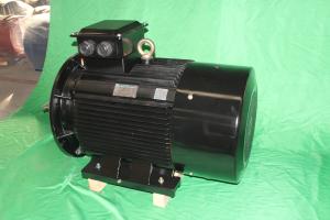 Wholesale YE3 355M1 6 Pole Class F 3 Phase Asychronous Motor 160kW IP55 from china suppliers