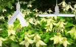 Compact LED Grow Lights For Vegetables 20W 40W IP68 Waterproof
