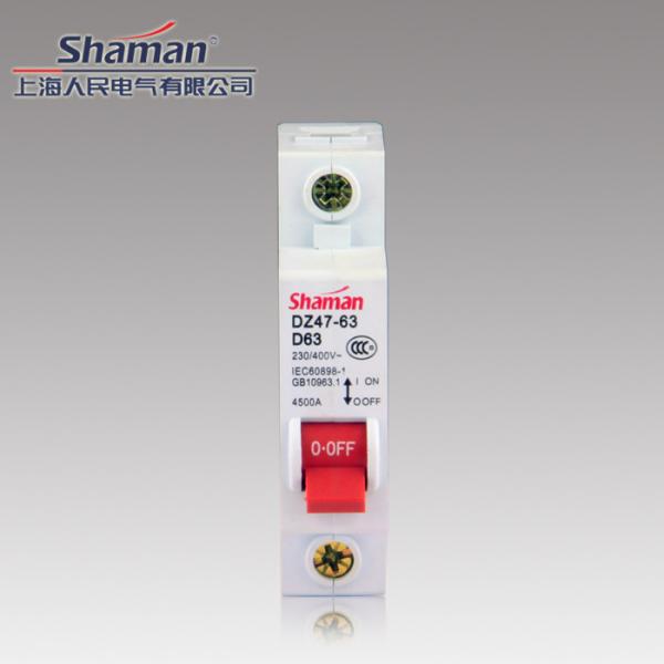 High quality good price DZ47-63D-1P-63A Mini circuit breaker,murray circuit