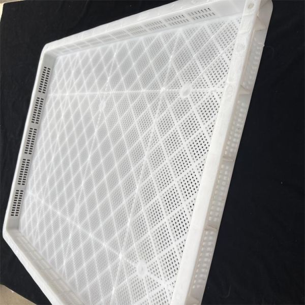 Perforated Food Grade Stackable Plastic Drying Trays For Freezing Of Fruits Vegetables Seafood Freezing Trays