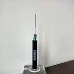6 8 12 24 Core Fiber Optic Cable Anti-rodent Optical Cable (GYXTS)