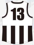 Australian Football Afl Team Jumpers , 100% Polyester 300gsm Retro Afl Jumpers