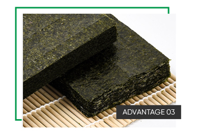 Full Size Algae Sheet Golden Roasted Seaweed Sushi Nori With Style Dried