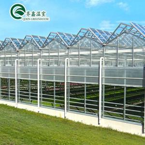 Wholesale Vegetable Fruits Flowers Tomatoes Greenhouse with Inside and Outside Shading System from china suppliers