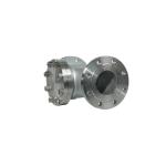 Flanged Lift Check Valve Silver Stainless Steel 304 316 316L PN16 PN25 PN40 PN64
