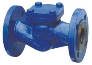 Wholesale Din Cast Steel Check Valve Swing Disc Lift Disc Good Sealing Performance from china suppliers