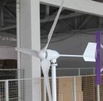 24V/48V 800w/1000w Garden Windmill/Wind Generator/Wind Turbine M5 Model
