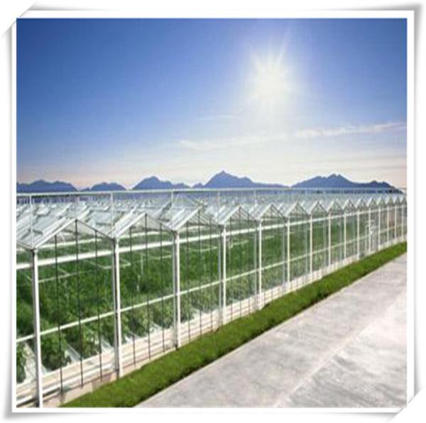 Height 3m Customized Agriculture Small Glass Garden Greenhouse for Vegetables