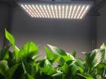 IP65 AC85V Quantum Board Led Grow Lights
