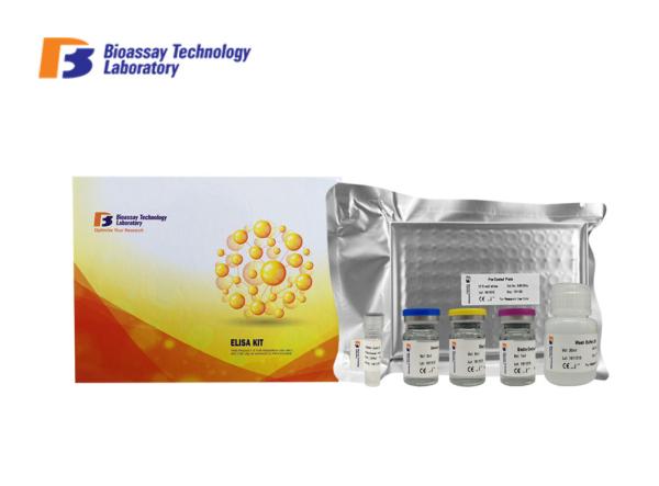 96 Wells 48 Wells Laboratory Research Rat GFAP Sandwich ELISA Kit 2 Hours Assay