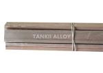 10mm Iron Chromium Aluminum FeCrAl Alloy 0Cr21AI6Nb Lead Rods Lead Out