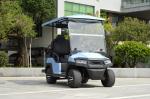 2 4 6 Seat Electric Lithium Battery Sightseeing Golf Cart Golf Buggy Car with