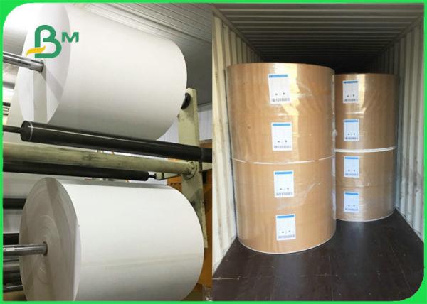 Quality Disposable 300gsm + 10g PE Lunch Box Paper For Food Packing 100% Biodegradable for sale
