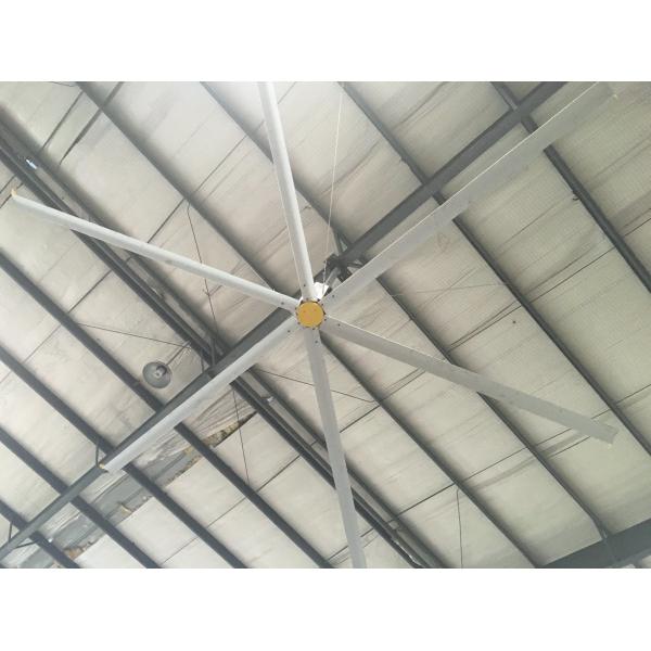 Wholesale 380V AC Big Rooms High Ceilings Gearbox Ceiling Fan from china suppliers
