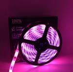2A 36W 5m IP65 12V LED Strip Lights Waterproof