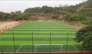 Wholesale 60mm Height Football Artificial Turf 6600 Detex Wear Resistant from china suppliers