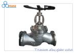 Light Weight Titanium Alloy 12˝ Industrial Metal Valves