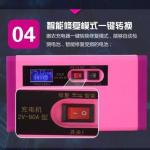 24V Ac Input Lead Acid Battery Chargers Precise Control Low Voltage Protection