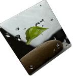 Black Titanium 8K PVD Coated Stainless Steel Sheet Corrosion Resistant