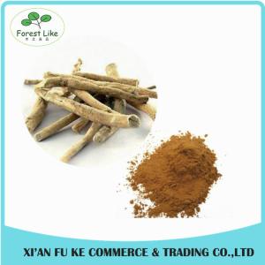 Wholesale Panama Ginseng Extract Ginsenosides from china suppliers