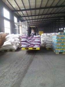 Wholesale we are big supplier of detergent laundry powder/oem washing powder factory from linyi city from china suppliers