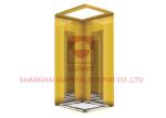Elevator Parts Villa Elevator Interior Design PVC Floor With Stainless Steel /
