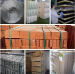 Recycling Plant PET Strap Making Machine PET Package Band Extrusion Line High