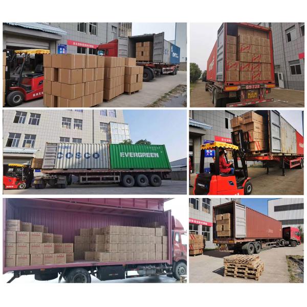 Polyester Fiber Elastic 10m Badminton Racket String Restring Oem Bg95 30 Lbs Dmantis