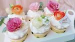 Decorative Food Grade Christamas Paper Cupcake Case Muffin Liners Mini Cupcake
