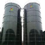 Chinese Biogas Plant Poultry Biogas Plant Biogas Production From Cow Manure