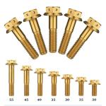 DIN6921 Factory Direc Anodized M8x30mm Flange Bolt Hex Flange Head Titanium Bolt