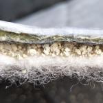 8*30m Coated Gcl Sodium Geosynthetic Clay Liner Bentonite Waterproof Blanket at