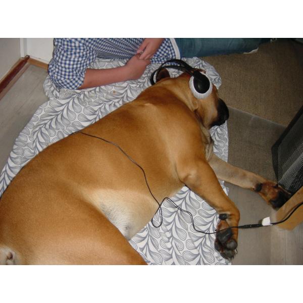 metaphathia 4025 hunter sub health analyzer origin software 25d nls hunter 4025 nls for free download