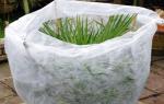 Waterproof Agriculture Non Woven Fabric Roll 4% UV Treated Weed Control