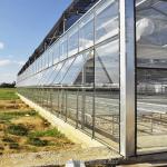Hot Galvanized Steel Frame Structure Venlo Glass Greenhouses for Vegetable