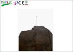 Patented Ese Lightning Conductor 304SS Housing Material For Thatch Roofs