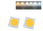 2828 SERIES 50W 2700-6500K HIGH POWER LED SPOT LIGHT COB FLIP CHIP