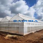 Sawtooth Type Tropic Friendly Polyethylene Film Greenhouse Multi Span Greenhouse