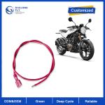 CLF Custom Power Battery Electrical Wiring Harness Assembly with 110 187 205 250