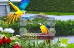 Functional Acrylic Bird Feeder Sustainable Window Pet Feeders OPP Bag Packing