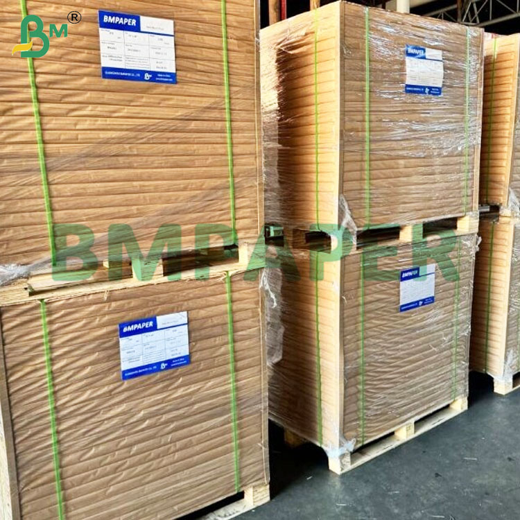 50 GSM Odorless High Filtration Efficiency Coffee Filter Paper Rolls