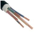 LSZH Power Cable LSOH WDZA-YJY-0.6/1KV 3x2.5SQMM Building lighting System